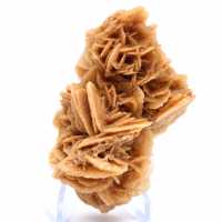 Rose des sables naturelle de Tunisie