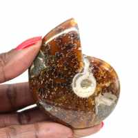 Fossile Ammonite Polie - Objet de Décoration Naturelle (70g) Fossile Ammonite Polie - Objet de Décoration Naturelle (70g)