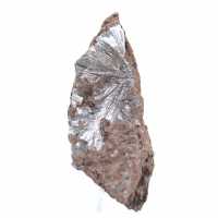 Cristaux de Pyrolusite Bruts, Spécimen Long