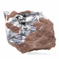 Pyrolusite, Spécimen Minéralogique avec Matrice