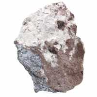 Cristaux de Pyrolusite sur Gangue, Roche Naturelle