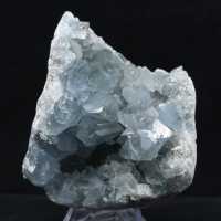 Grande Druse de Célestine de Madagascar