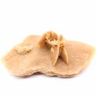 Spécimen de Rose des sables marocaine : géométrie du désert