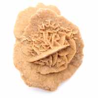 Rose des sables du Maroc : bouquet cristallin de gypse