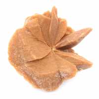 Grand cristal de Rose des sables : spécimen du Maroc