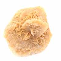 Rose des sables du Maroc : rosette de collection massive