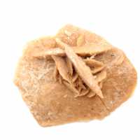 Rosette minérale du Maroc : cristallisation de gypse