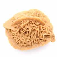 Spécimen de Rose des sables du Maroc : cristallisation dense