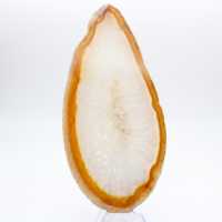 Spécimen d'Agate sédimentaire polie