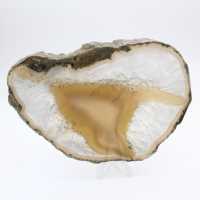 Tranche d'Agate aux rubans denses