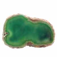 Agate verte en tranche – Spécimen minéral Brésil 315 g