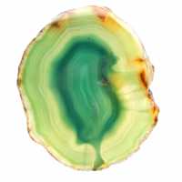 Agate verte tranchée – Spécimen de collection Brésil 255 g