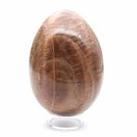 Pierre de Lune Noire - Œuf Microcline 455g