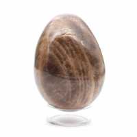 Œuf en Microcline Noir Madagascar 235g