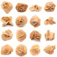 Petite Rose des sables du Maroc : fragment géologique naturel
