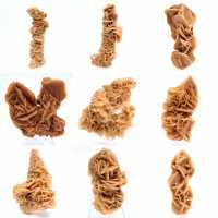 Rose des sables minéral naturel Tunisie