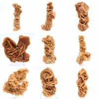 Rose des sables minéral naturel Tunisie