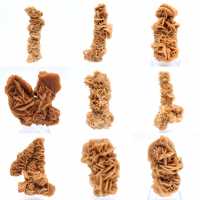 Rose des sables minéral naturel Tunisie