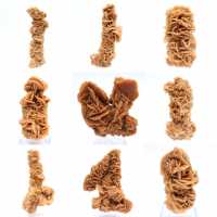 Rose des sables minéral naturel Tunisie