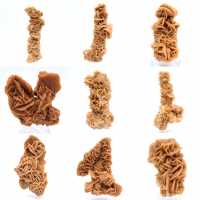 Rose des sables minéral naturel Tunisie Rose des sables minéral naturel Tunisie