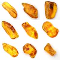 Galet Ambre jaune de Lituanie pour collection de fossiles