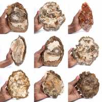 Tranche de bois pétrifié poli, petit ornement fossile, Madagascar Tranche de bois pétrifié poli, petit ornement fossile, Madagascar