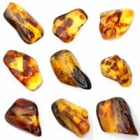 Petit Galet d'Ambre Poli de Lituanie - Collection Minéralogique