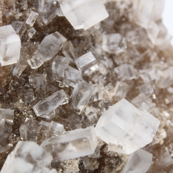 Sel gemme Bio (Kanwa ou Potasse) – Afritibi