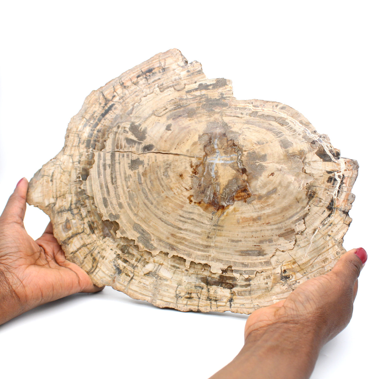 Boule polie en bois fossile de Madagascar. Qualité top.
