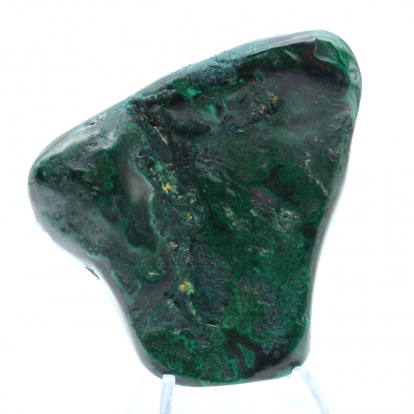 Malachite polie pour collection