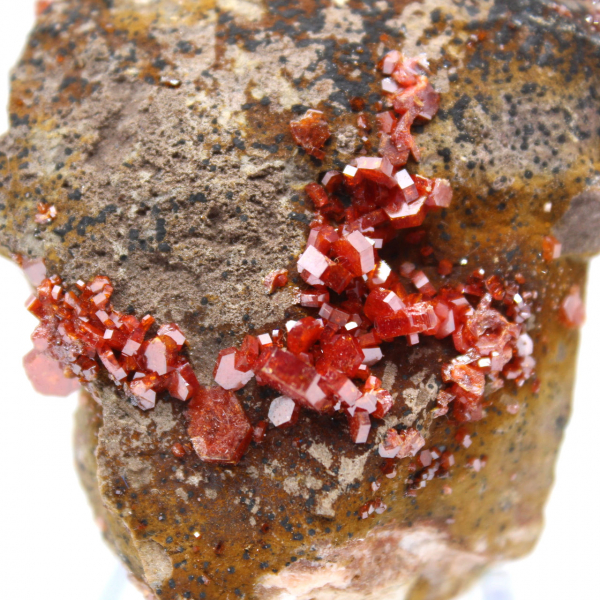 Cristaux de vanadinite sur gange