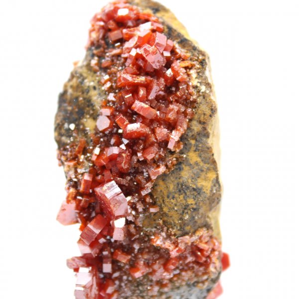 Cristaux de vanadinite sur gangue