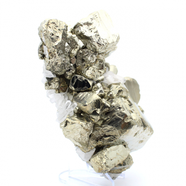 Grands cristaux de pyrite avec calcite