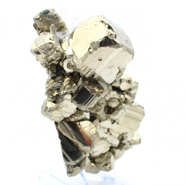 Grands cristaux de pyrite avec calcite