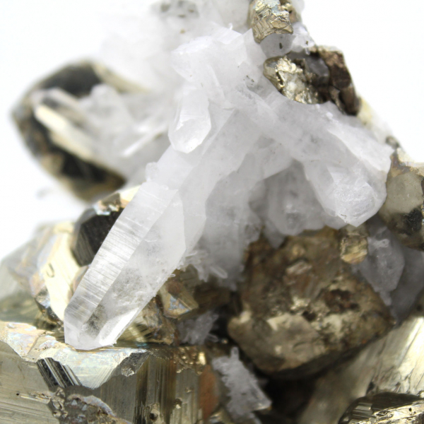 Grands cristaux de pyrite avec calcite