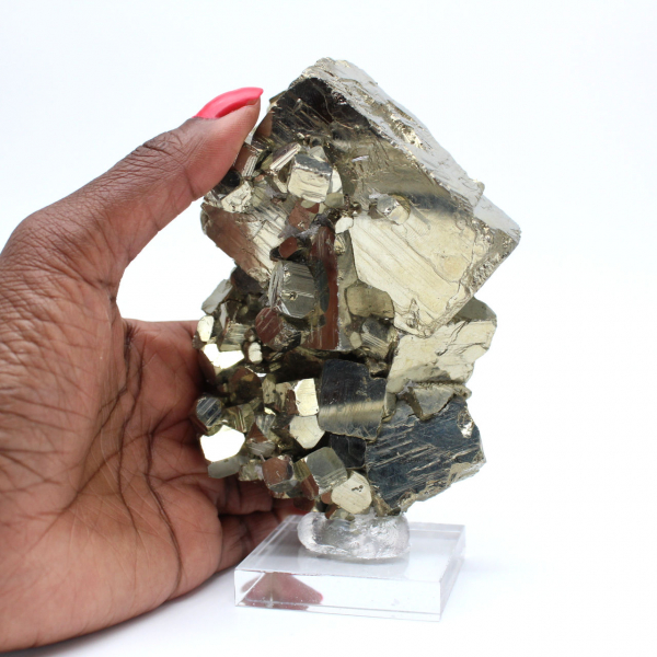 Pyrite cristallisée sur socle