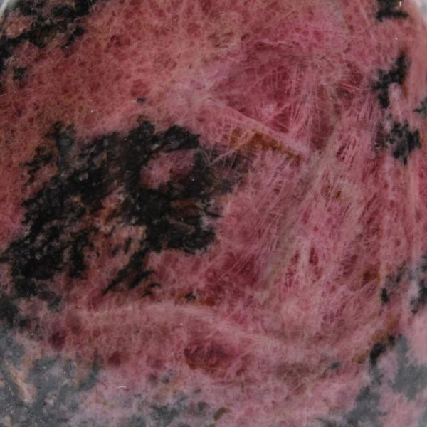 Forme libre de Rhodonite