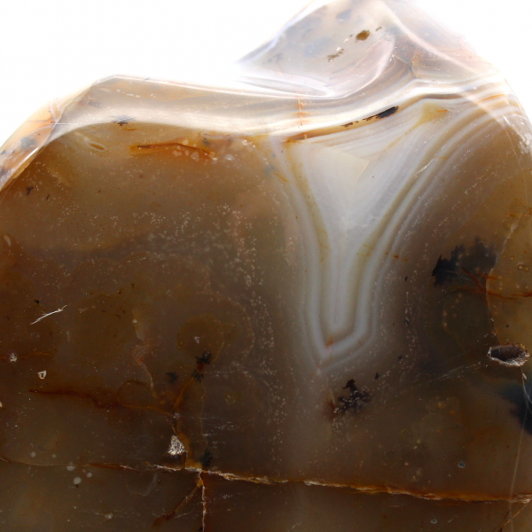 Grande cornaline agate