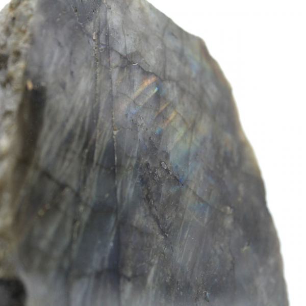 Labradorite violette mi-brute