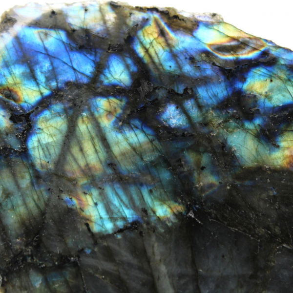 Labradorite mi-brute de collection