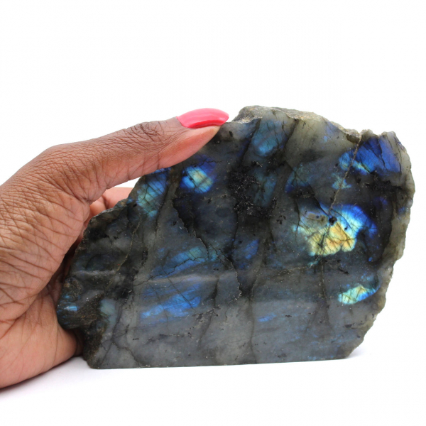 Labradorite ornementale une face polie