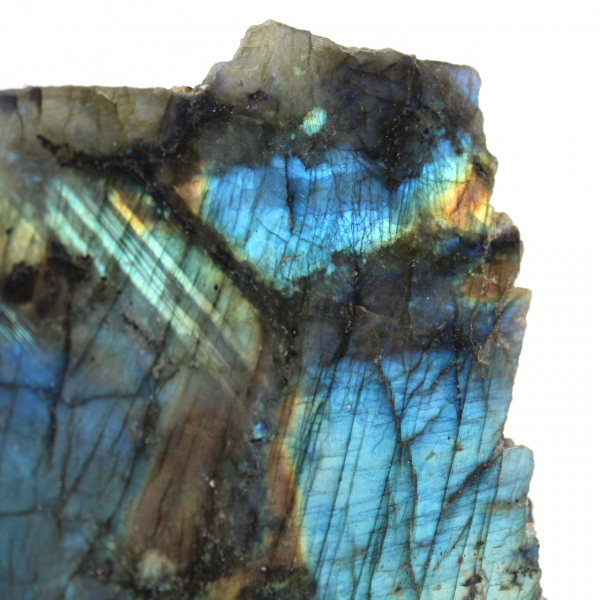 Labradorite naturelle une face polie