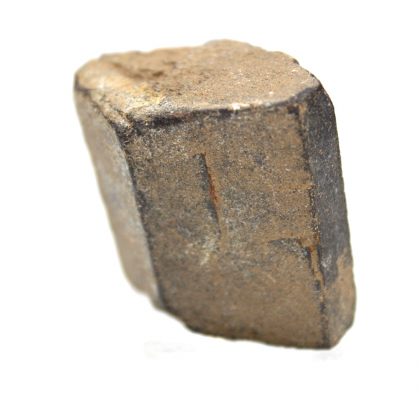 Staurotide croisette de Bretagne 