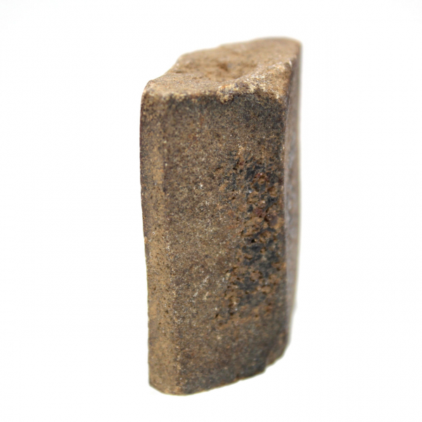 Staurotide de Bretagne 