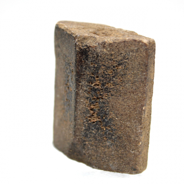 Staurotide de Bretagne 