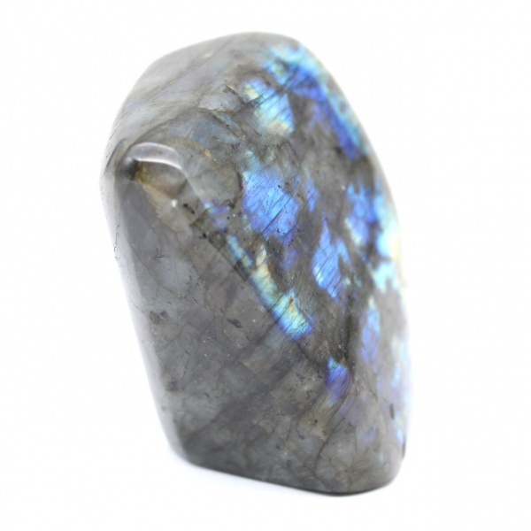 Forme libre de Labradorite polie