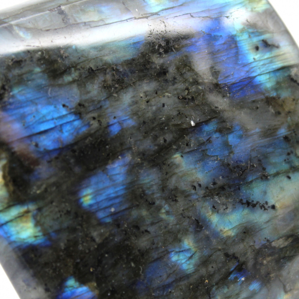 Forme libre de Labradorite polie