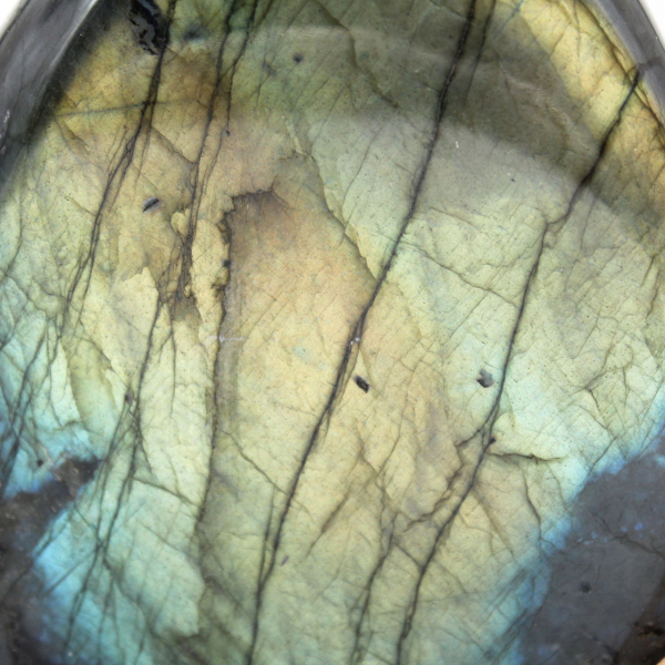 Labradorite polie de décoration