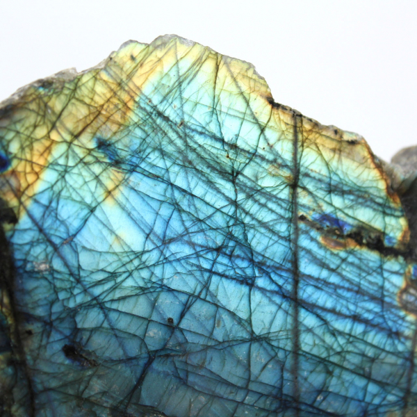 Pierre de labradorite ornementale