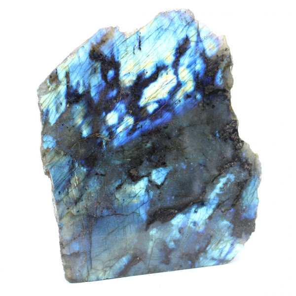 Labradorite une face polie de collection